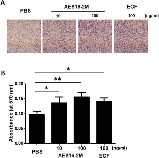 https://cdn.ncbi.nlm.nih.gov/pmc/blobs/7f51/6158248/b2f6b0dba190/41598_2018_32851_Fig5_HTML.jpg