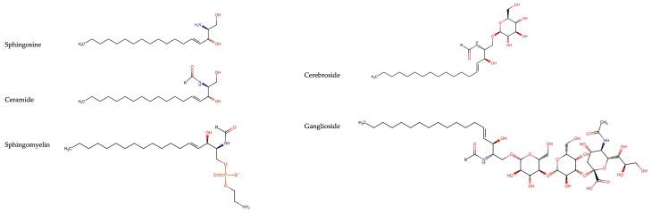 https://cdn.ncbi.nlm.nih.gov/pmc/blobs/7f52/11171506/9c42d0b446f0/cells-13-00890-g001.jpg