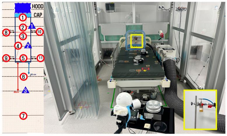 https://cdn.ncbi.nlm.nih.gov/pmc/blobs/7f54/12189663/734939c685f2/bioengineering-12-00624-g005.jpg