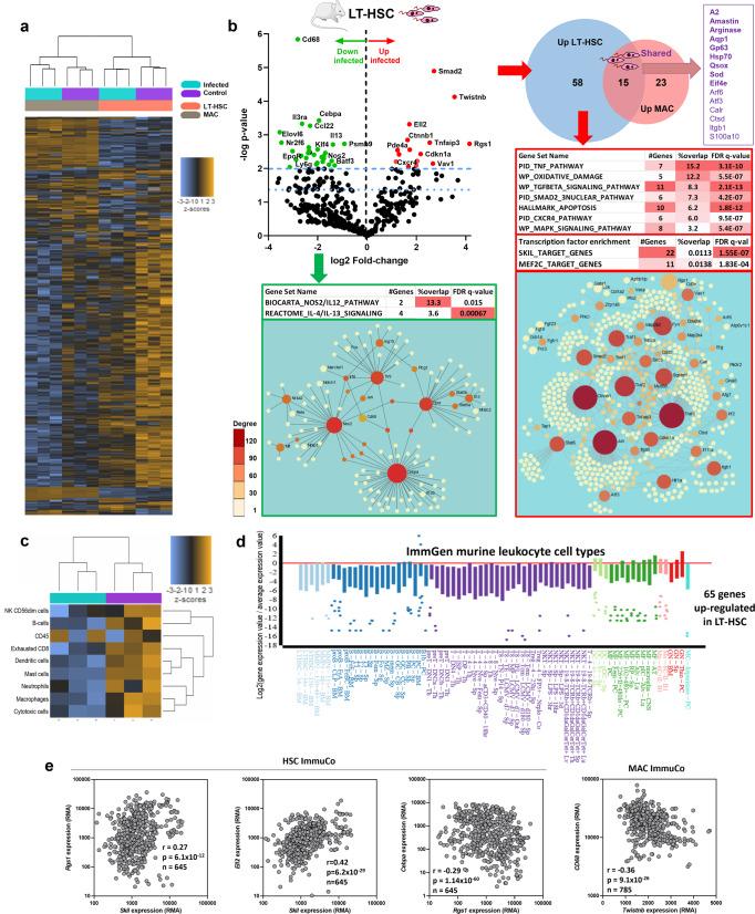 https://cdn.ncbi.nlm.nih.gov/pmc/blobs/7f54/9233693/4dca599f862c/42003_2022_3591_Fig5_HTML.jpg