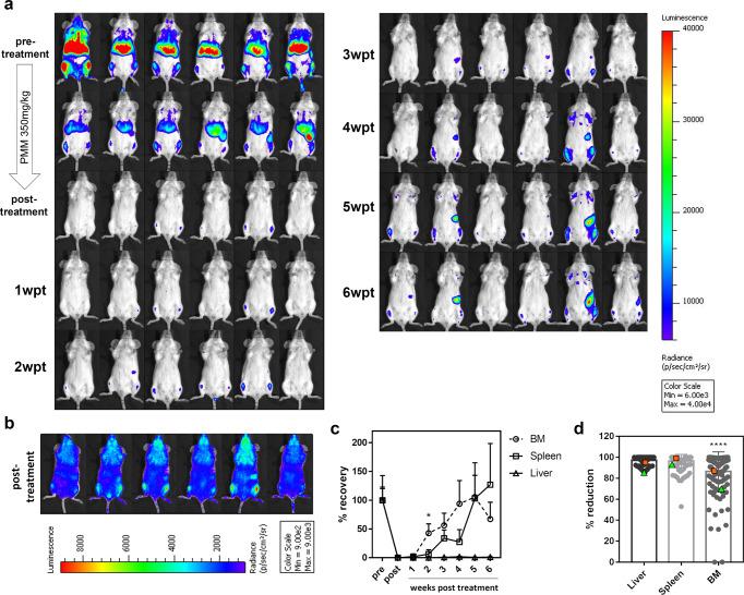https://cdn.ncbi.nlm.nih.gov/pmc/blobs/7f54/9233693/b0a239363d30/42003_2022_3591_Fig1_HTML.jpg