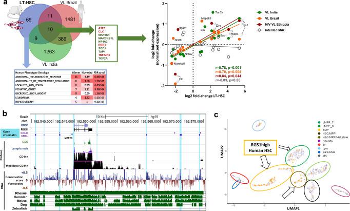 https://cdn.ncbi.nlm.nih.gov/pmc/blobs/7f54/9233693/cbcc7620eac5/42003_2022_3591_Fig6_HTML.jpg