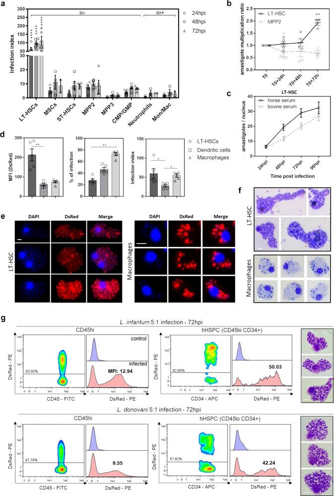 https://cdn.ncbi.nlm.nih.gov/pmc/blobs/7f54/9233693/e3e901a43602/42003_2022_3591_Fig3_HTML.jpg