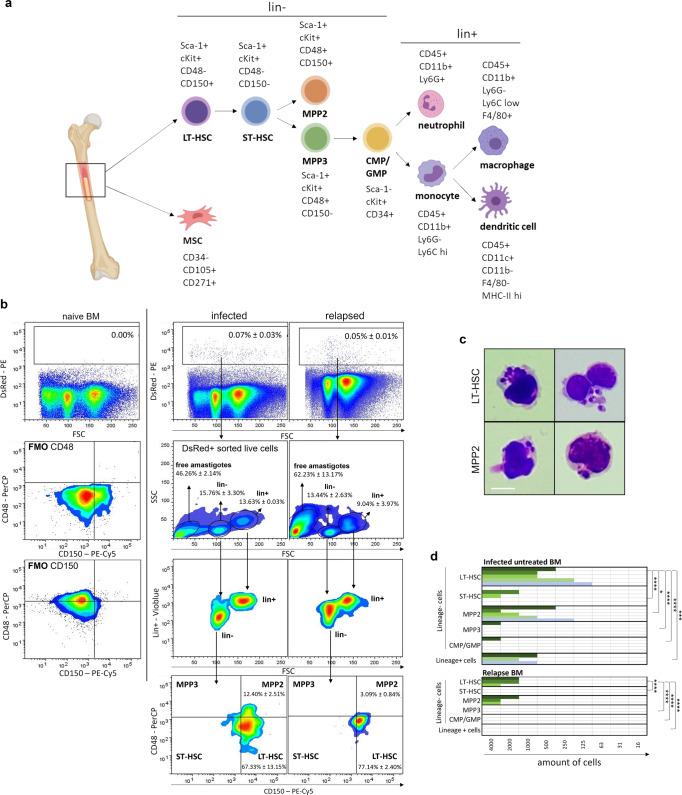 https://cdn.ncbi.nlm.nih.gov/pmc/blobs/7f54/9233693/ec65b4f3f846/42003_2022_3591_Fig2_HTML.jpg