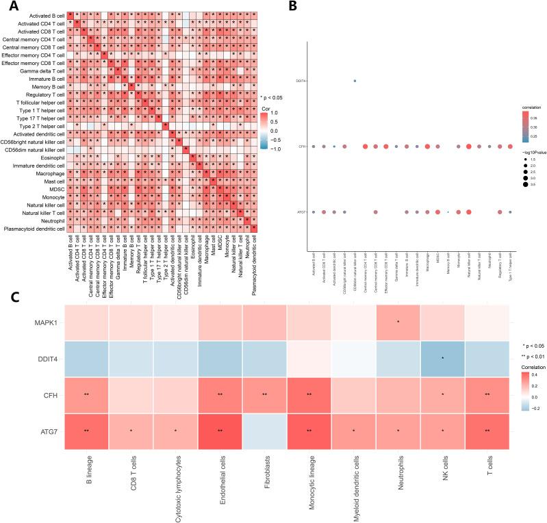 https://cdn.ncbi.nlm.nih.gov/pmc/blobs/7f56/12018237/60b3e2c1fa67/fonc-15-1551074-g006.jpg