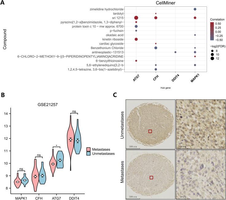 https://cdn.ncbi.nlm.nih.gov/pmc/blobs/7f56/12018237/aea846de48ac/fonc-15-1551074-g007.jpg