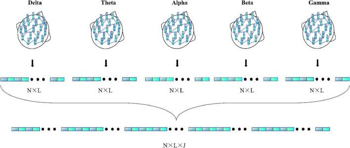 https://cdn.ncbi.nlm.nih.gov/pmc/blobs/7f56/12263931/3c749abbe1dd/fnins-19-1555657-g004.jpg
