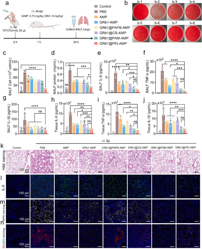 https://cdn.ncbi.nlm.nih.gov/pmc/blobs/7f56/12391774/53df44169283/gr7.jpg