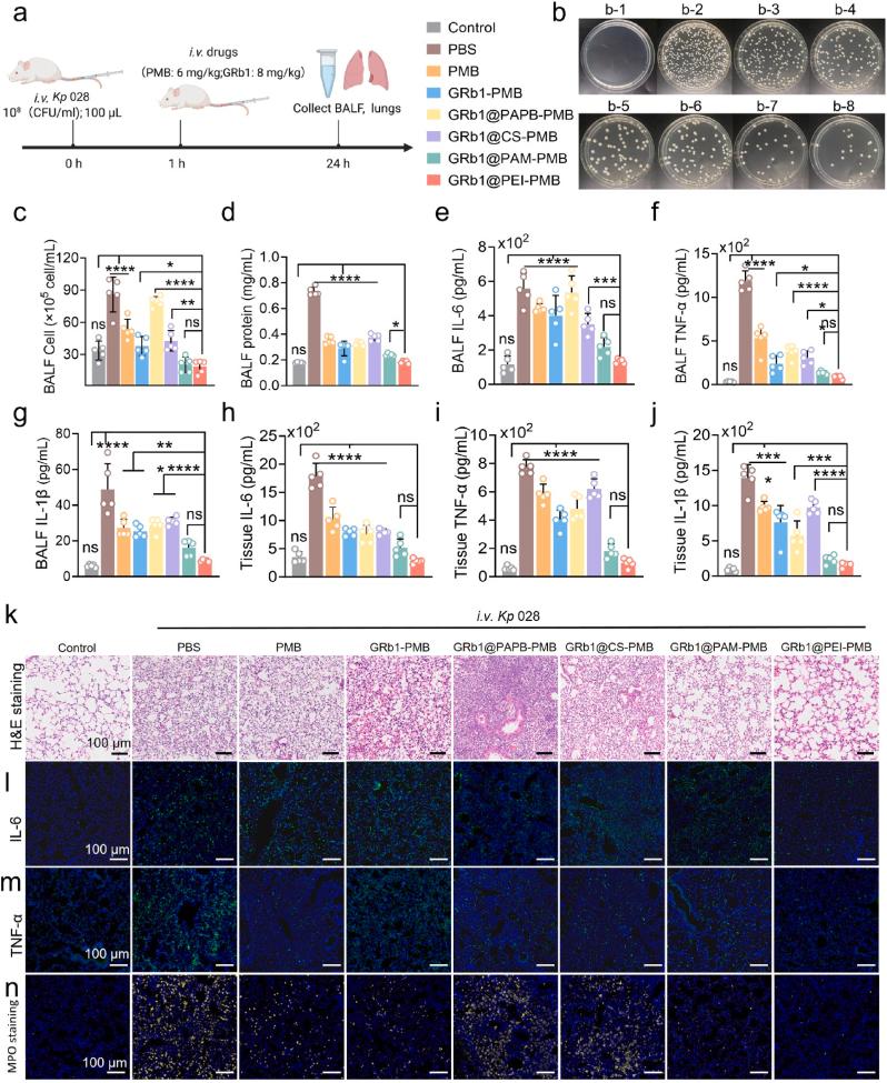https://cdn.ncbi.nlm.nih.gov/pmc/blobs/7f56/12391774/f1d287044adc/gr6.jpg