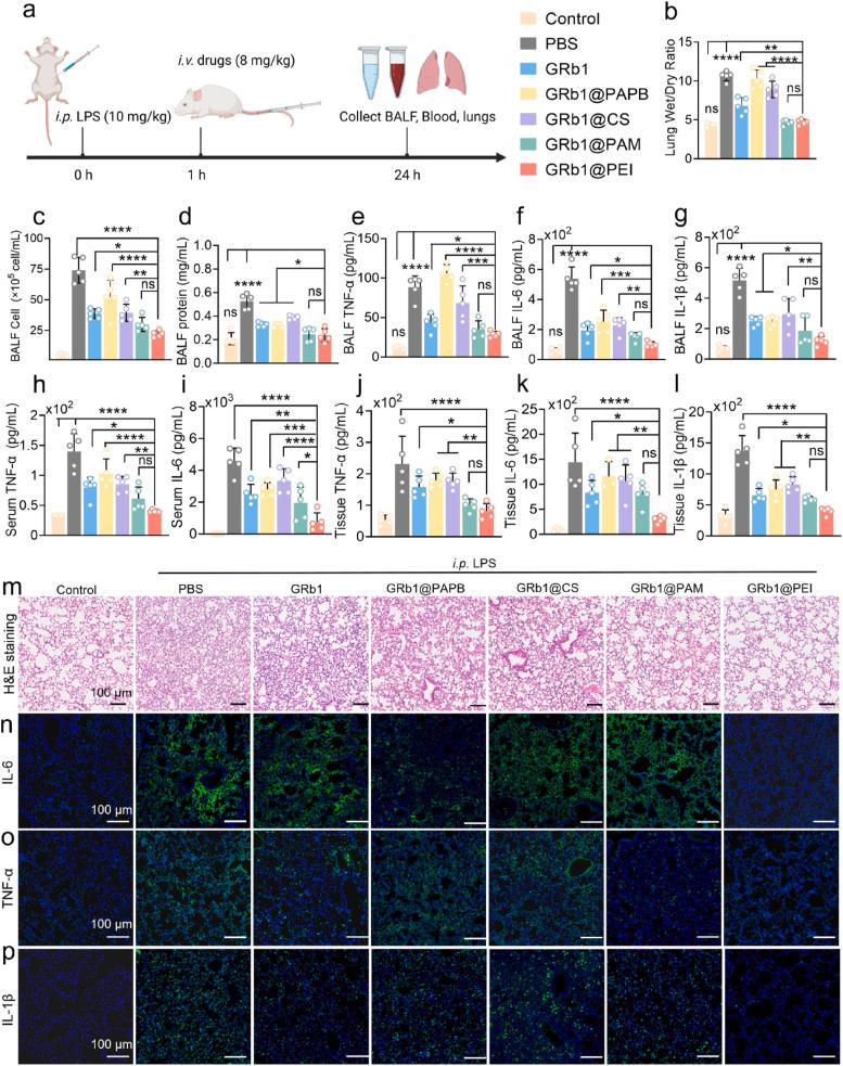 https://cdn.ncbi.nlm.nih.gov/pmc/blobs/7f56/12391774/f3763556b71d/gr5.jpg