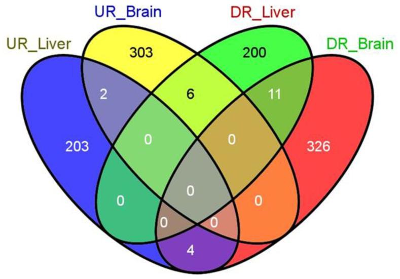 https://cdn.ncbi.nlm.nih.gov/pmc/blobs/7f56/7711450/a5e67ba1e564/clockssleep-02-00033-g002.jpg