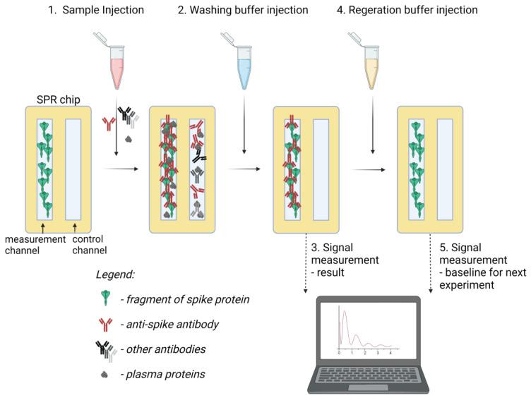 https://cdn.ncbi.nlm.nih.gov/pmc/blobs/7f57/10144119/2a830afff265/sensors-23-03946-g001.jpg