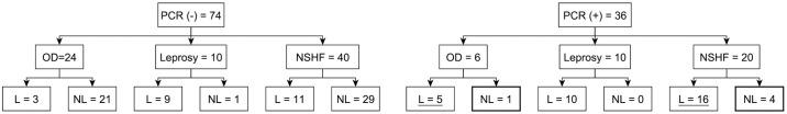 https://cdn.ncbi.nlm.nih.gov/pmc/blobs/7f57/6428338/0fcd37c795bb/pntd.0007147.g002.jpg