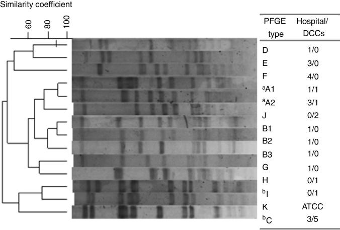https://cdn.ncbi.nlm.nih.gov/pmc/blobs/7f57/9425645/f4455b046ee8/gr1.jpg