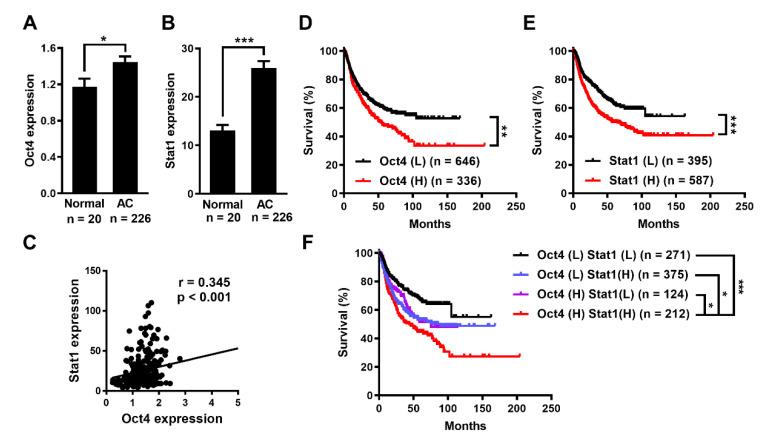 https://cdn.ncbi.nlm.nih.gov/pmc/blobs/7f58/8534205/7432ce3c6ee7/cells-10-02642-g001.jpg
