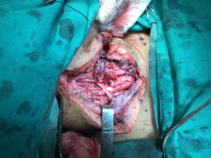 https://cdn.ncbi.nlm.nih.gov/pmc/blobs/7f58/9242429/1c29bddb3df1/jvb-21-e20220012-g04.jpg
