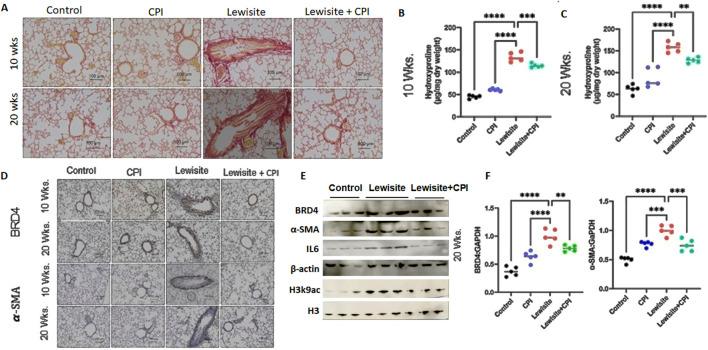 https://cdn.ncbi.nlm.nih.gov/pmc/blobs/7f5a/12343216/484db1be8aa2/fmolb-12-1644792-g004.jpg