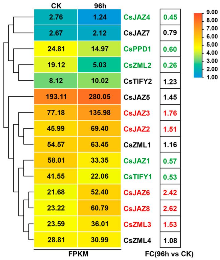https://cdn.ncbi.nlm.nih.gov/pmc/blobs/7f5c/10778933/77916b7b435d/ijms-25-00185-g003.jpg