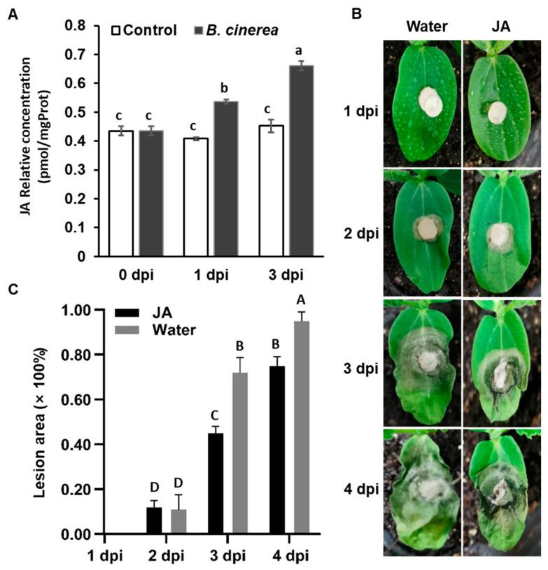 https://cdn.ncbi.nlm.nih.gov/pmc/blobs/7f5c/10778933/f1c1316cc767/ijms-25-00185-g006.jpg
