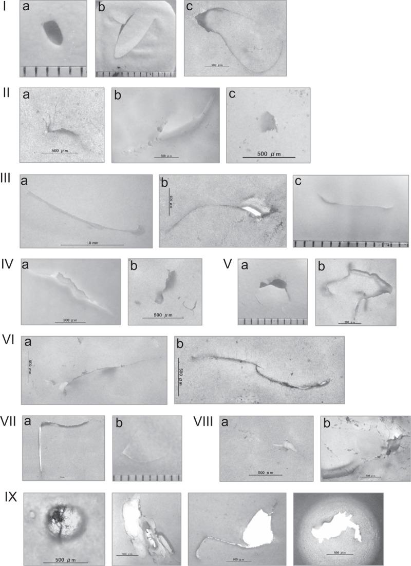 https://cdn.ncbi.nlm.nih.gov/pmc/blobs/7f5f/6635159/a8757c88e14b/medi-98-e16348-g006.jpg