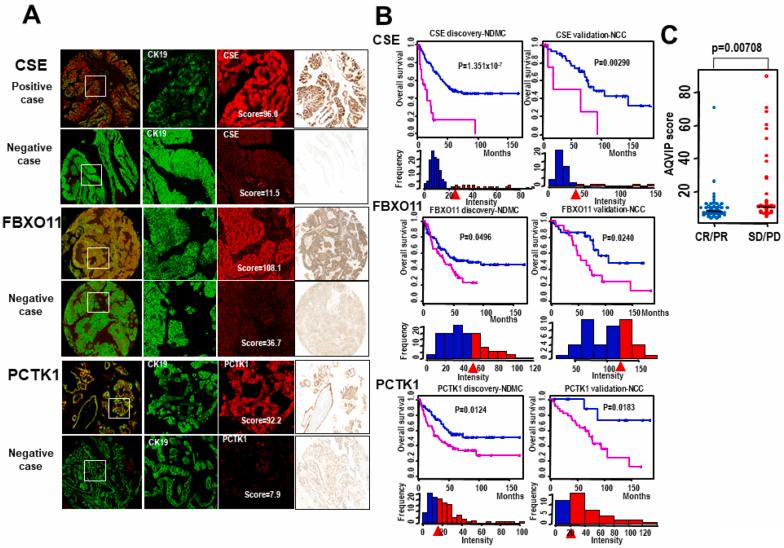 https://cdn.ncbi.nlm.nih.gov/pmc/blobs/7f61/8010883/1eaf27a0edc8/gr1.jpg