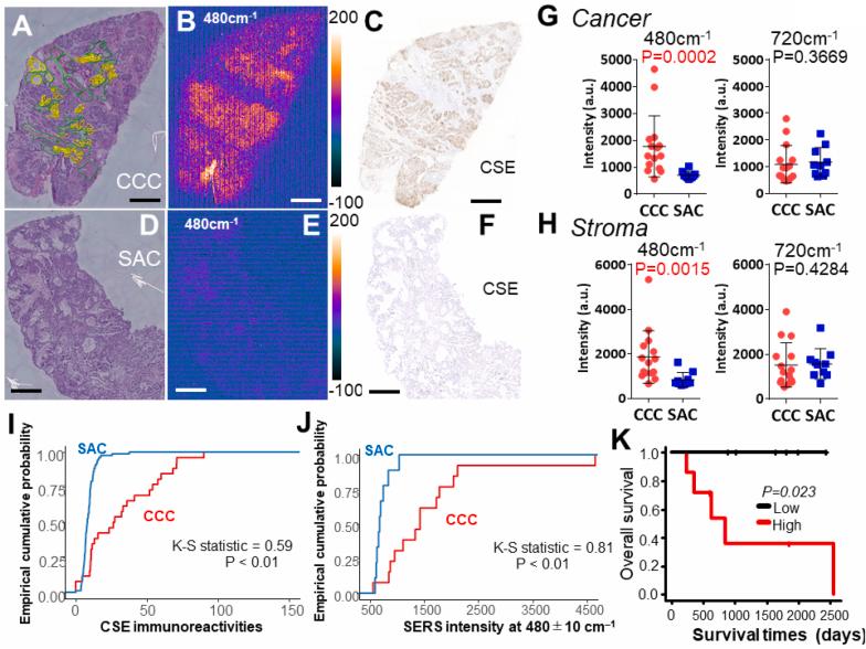 https://cdn.ncbi.nlm.nih.gov/pmc/blobs/7f61/8010883/7bde316c04ee/gr2.jpg