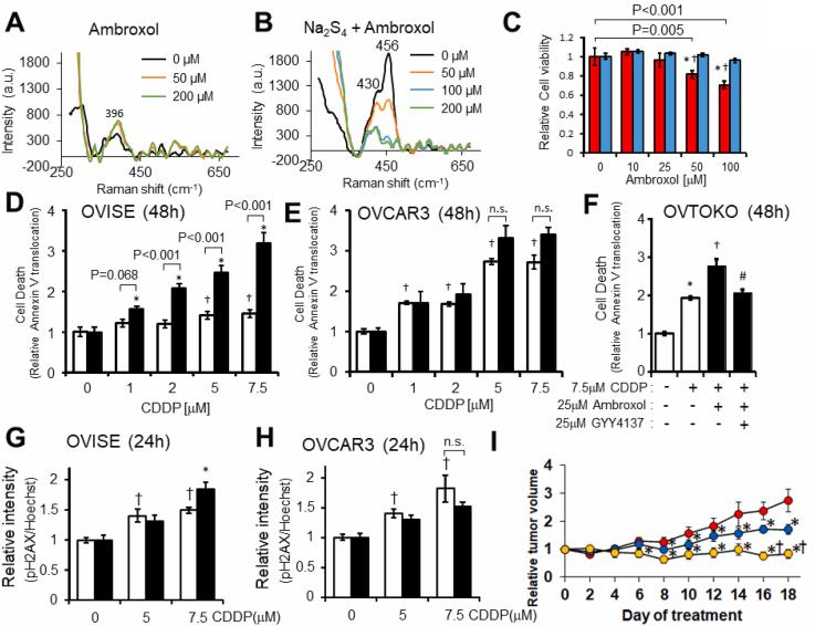 https://cdn.ncbi.nlm.nih.gov/pmc/blobs/7f61/8010883/cb01fbd92b80/gr6.jpg
