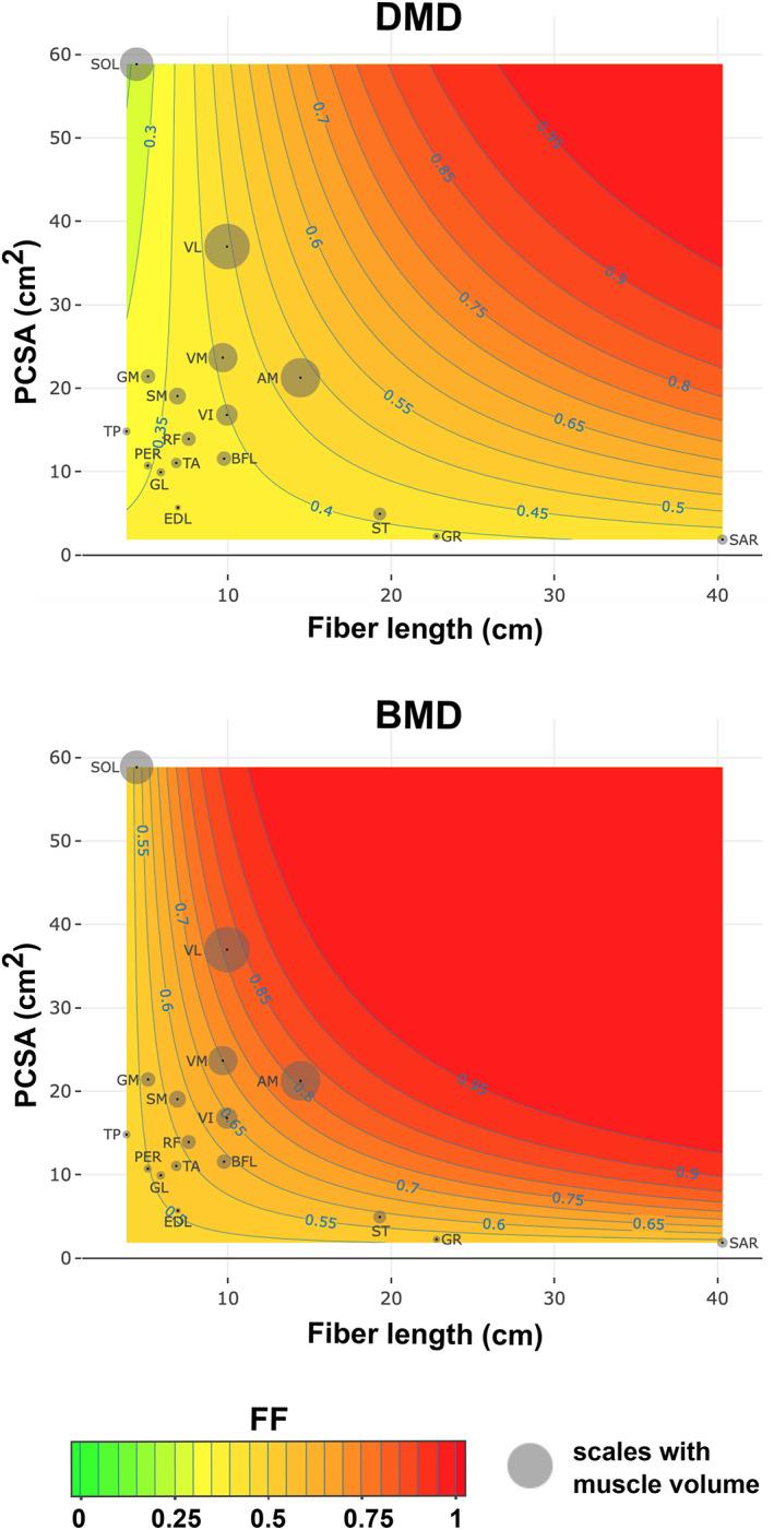 https://cdn.ncbi.nlm.nih.gov/pmc/blobs/7f65/9290788/3bcb33415657/MUS-64-576-g004.jpg
