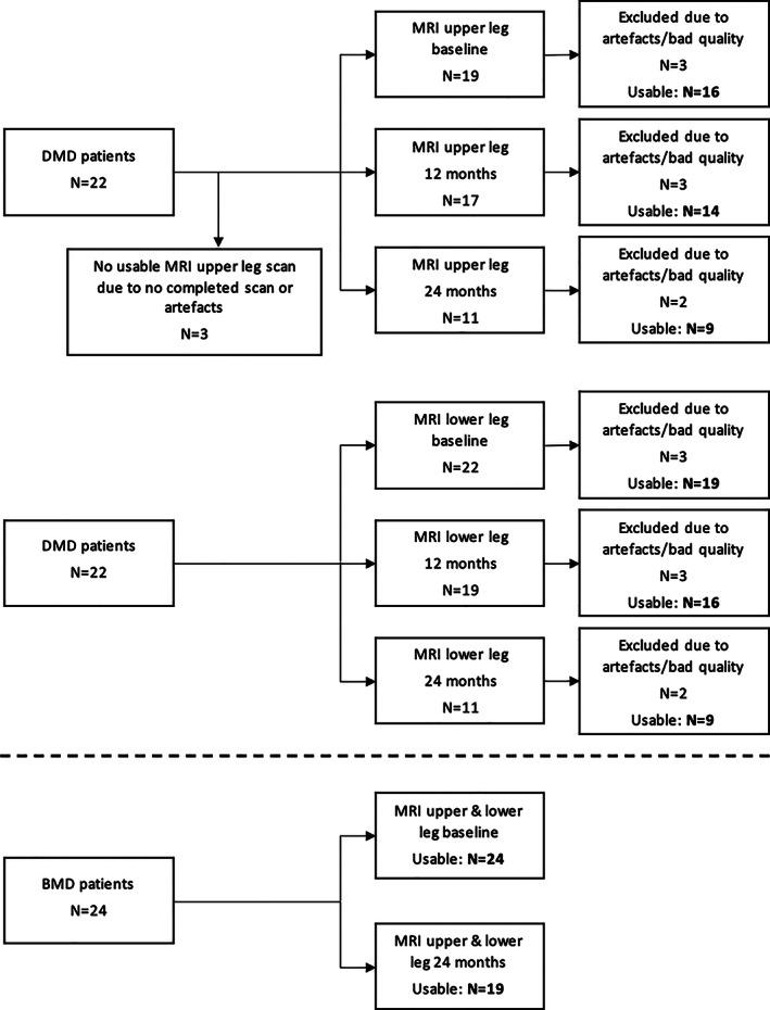 https://cdn.ncbi.nlm.nih.gov/pmc/blobs/7f65/9290788/b54aeff7243a/MUS-64-576-g003.jpg
