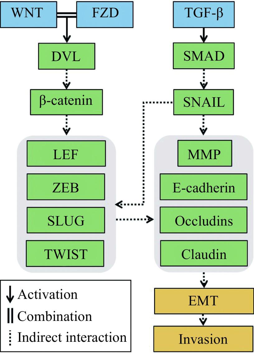https://cdn.ncbi.nlm.nih.gov/pmc/blobs/7f66/9898042/05799649fdf9/jbr-37-1-47-4.jpg