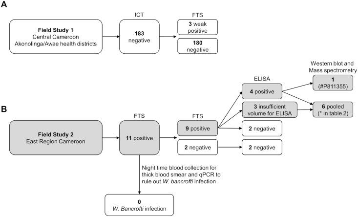 https://cdn.ncbi.nlm.nih.gov/pmc/blobs/7f69/6267963/3f0b94bd98df/pntd.0006963.g001.jpg