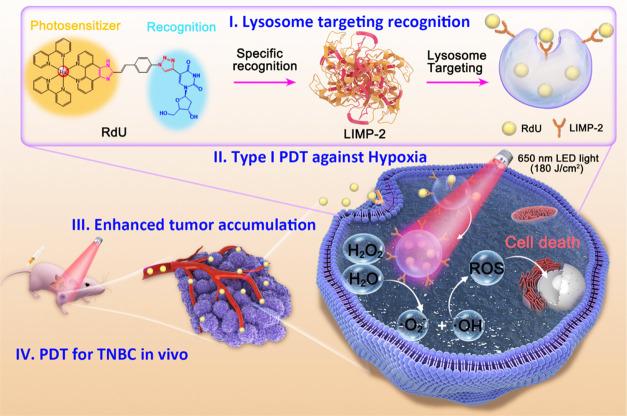 https://cdn.ncbi.nlm.nih.gov/pmc/blobs/7f6a/10976599/7610facacd2e/au3c00808_0009.jpg