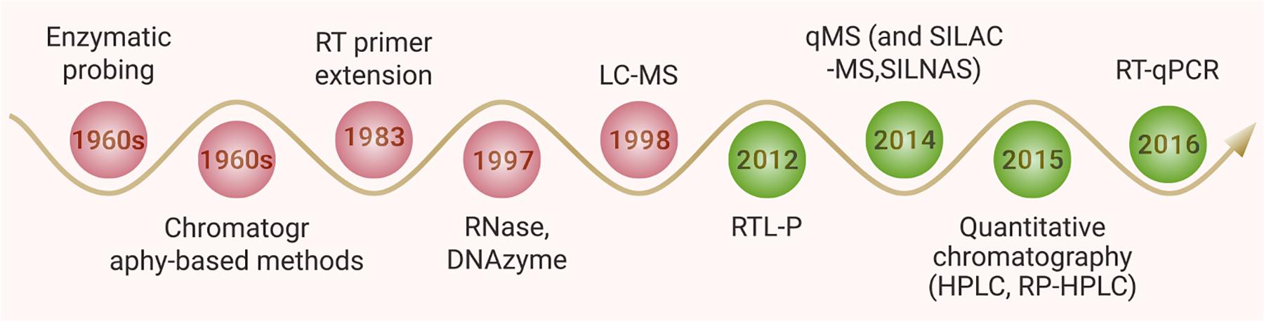 https://cdn.ncbi.nlm.nih.gov/pmc/blobs/7f6a/11981644/4885e1414c73/nihms-2071027-f0003.jpg