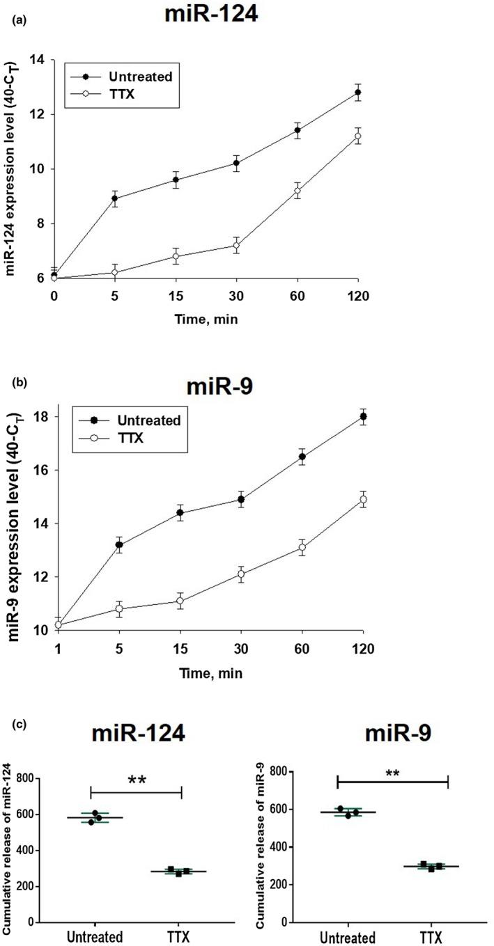 https://cdn.ncbi.nlm.nih.gov/pmc/blobs/7f6c/6587827/8361a130ac1b/JNR-97-162-g008.jpg