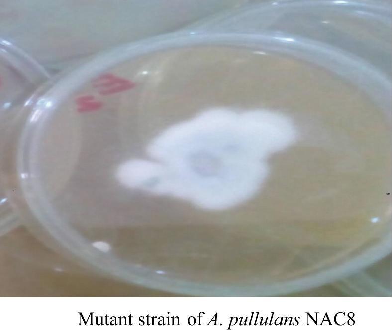 https://cdn.ncbi.nlm.nih.gov/pmc/blobs/7f6e/6296646/0353f409e103/gr1a.jpg