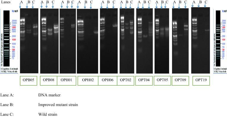 https://cdn.ncbi.nlm.nih.gov/pmc/blobs/7f6e/6296646/80d7e4db6ff2/gr2.jpg