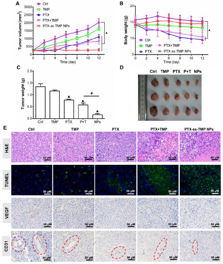 https://cdn.ncbi.nlm.nih.gov/pmc/blobs/7f70/7977472/51983a439acb/thnov11p4171g008.jpg