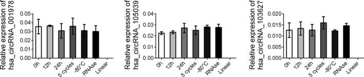 https://cdn.ncbi.nlm.nih.gov/pmc/blobs/7f70/9102498/da55e6904beb/JCLA-36-e24431-g003.jpg