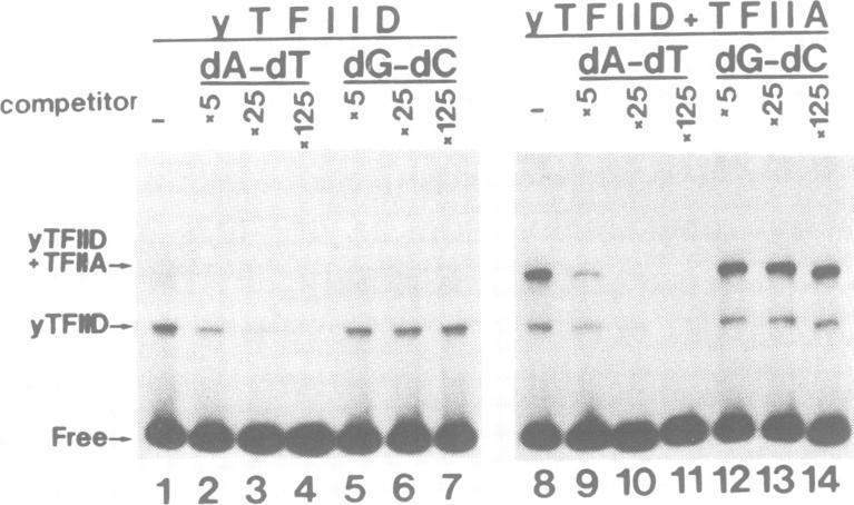 https://cdn.ncbi.nlm.nih.gov/pmc/blobs/7f73/452922/46b6fd24d4ad/emboj00106-0334-a.jpg