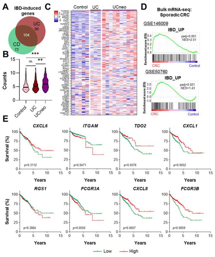 https://cdn.ncbi.nlm.nih.gov/pmc/blobs/7f73/8955412/8ab140df9070/ijms-23-03082-g003.jpg