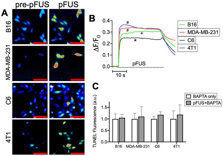 https://cdn.ncbi.nlm.nih.gov/pmc/blobs/7f74/7738866/86dc631eeb36/thnov11p0602g002.jpg