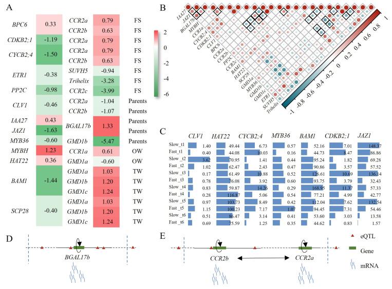 https://cdn.ncbi.nlm.nih.gov/pmc/blobs/7f75/10778782/209ec6f641a6/ijms-25-00247-g006.jpg