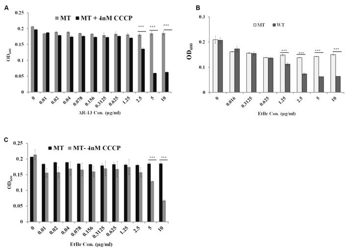 https://cdn.ncbi.nlm.nih.gov/pmc/blobs/7f76/5600997/f76f52bad436/fmicb-08-01695-g005.jpg