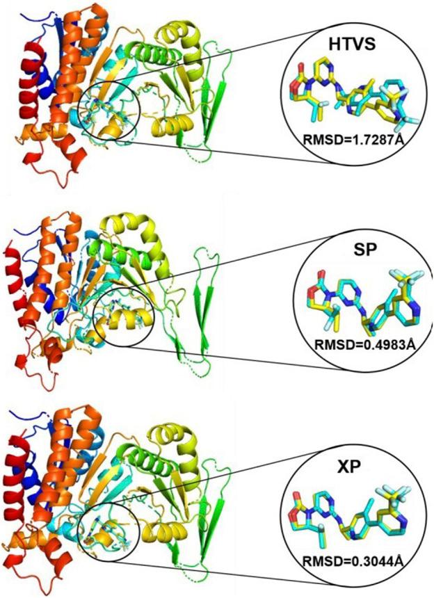 https://cdn.ncbi.nlm.nih.gov/pmc/blobs/7f78/11541834/af5e0b03aa13/fphar-15-1491699-g006.jpg