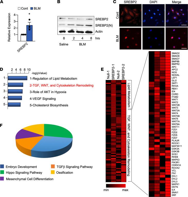 https://cdn.ncbi.nlm.nih.gov/pmc/blobs/7f78/8663776/bf353ceafdbb/jciinsight-6-125635-g176.jpg
