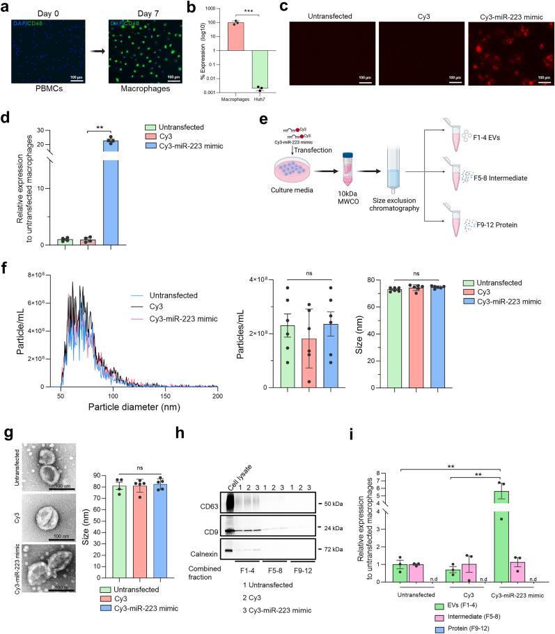 https://cdn.ncbi.nlm.nih.gov/pmc/blobs/7f79/12139455/0ddef169d51d/gr1.jpg