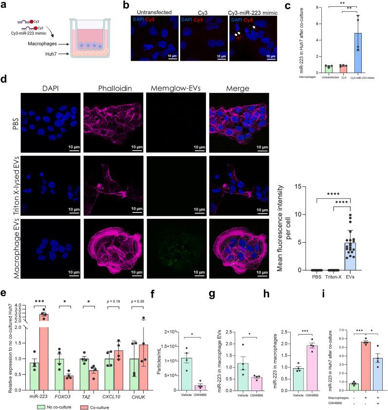 https://cdn.ncbi.nlm.nih.gov/pmc/blobs/7f79/12139455/28a3910d33b8/gr2.jpg