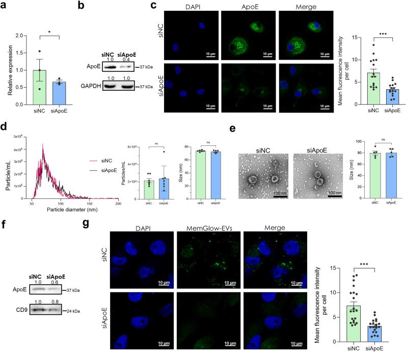 https://cdn.ncbi.nlm.nih.gov/pmc/blobs/7f79/12139455/69ddb7711371/gr6.jpg