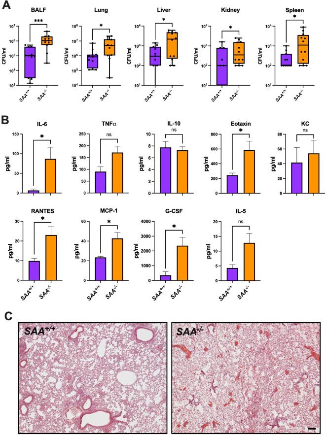 https://cdn.ncbi.nlm.nih.gov/pmc/blobs/7f7a/11885894/6f8b32282a12/fimmu-16-1544085-g004.jpg