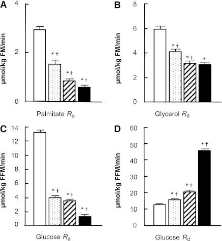 https://cdn.ncbi.nlm.nih.gov/pmc/blobs/7f7a/3357234/270be094dae2/1316fig1.jpg